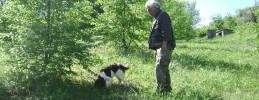 maple and saffron abruzzo tours truffle hunting